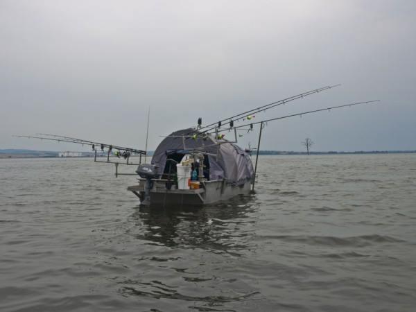 haioase - 1209384101518992237001862084750175n.jpg